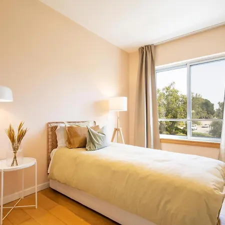 Marachique - Torralvor